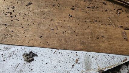 Plywood and fragile wood affected by termites and their debris on the floor.