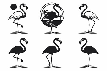 Obraz premium set of flamingos