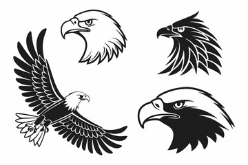Fototapeta premium eagle vector illustration