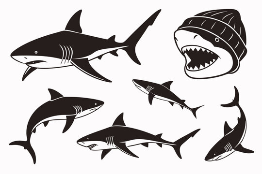 set of sharks