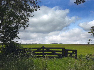Wooden fence and view at the Uffelter Es at Uffelte Drenthe Netherlands. 