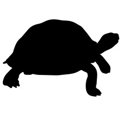 A silhouette of a turtle with a visible shell and legs on a white background
