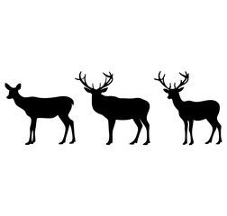 Fototapeta premium Three deer silhouettes standing side by side on a white background in a row view