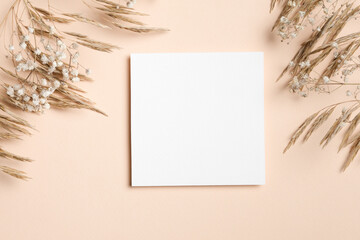 Blank square paper card mockup with copy space on beige background with dried grass and gypsophila...