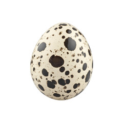 Single quail egg with speckled pattern, showcasing its unique texture and color, is beautifully positioned in center