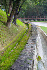 Path in the park