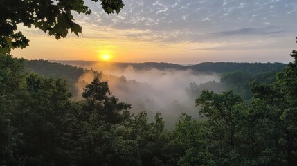 Misty sunrise over a valley, sun rising above the fog, treetops and leaves in the foreground.
