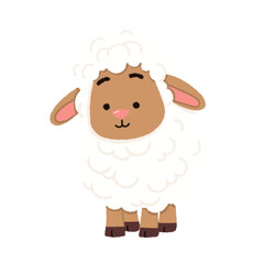 Cute White Sheep
