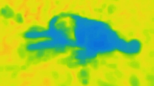 A playing dog. Image from thermal imager device.