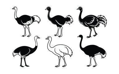 Funny cartoon ostrich vector set with birds and wildlife animals.