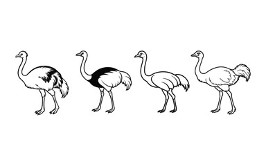 ostrich silhouette vector.