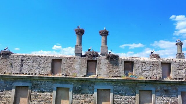 Storks, Stork, Ruins, Stork's nest, Stork chick, Stork in Spain, Ancient palace, Drone footage, Nesting, Chicks, Wildlife, Nature, Birds, Flying, Feathers, Wings, Beak, Breeding, Hatchlings, Stone wal