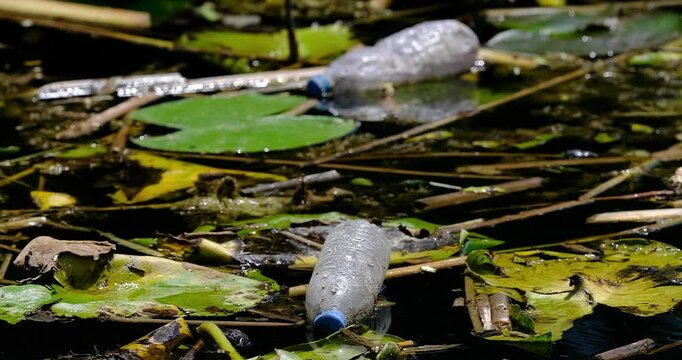 plastic water bottle by the river