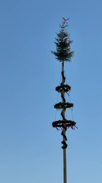 traditional maypole Maibaum in Austria