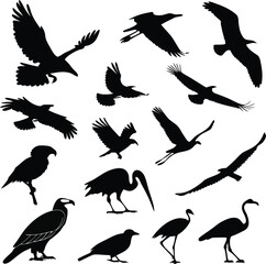 Obraz premium Abstract Black Bird Design Graphic for Branding