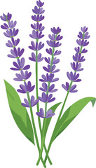 Naklejka premium Sprig of Lavender with Small Purple Flowers – Fragrant Botanical Detail