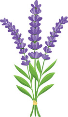 Obraz premium Sprig of Lavender with Small Purple Flowers – Fragrant Botanical Detail