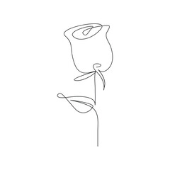 Continuous line drawing of rose flower vector illustration hand drawn decorative beautiful design
