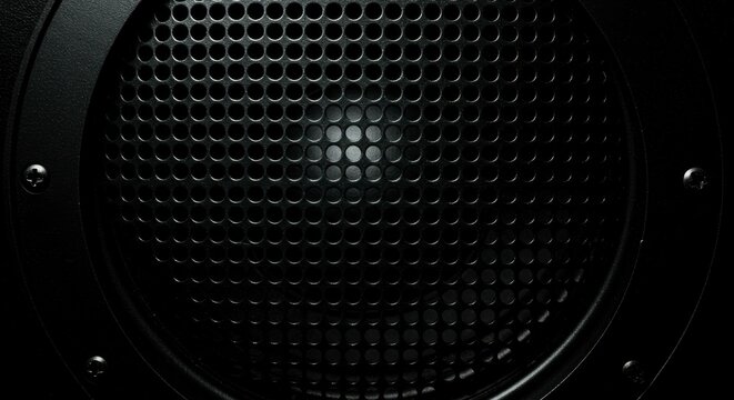 Close-up of a circular speaker grille, showcasing a dark, textured metal mesh over a central driver
