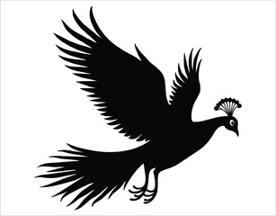 Obraz premium Graceful Peacock Silhouette – Minimalist Art