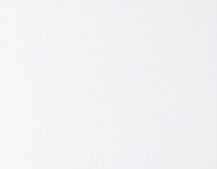 Obraz premium Bleached white rough paper pattern background