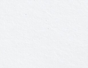 Obraz premium Bleached white rough paper pattern background
