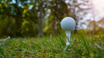 Golf ball on green grass in the evening golf course with sunshine background.