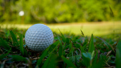 Golf ball is on a green lawn in a beautiful golf course with morning sunshine.