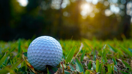 Golf ball is on a green lawn in a beautiful golf course with morning sunshine.