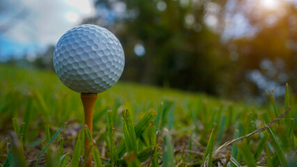 Golf ball on green grass in the evening golf course with sunshine background.