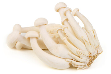 White Shimeji Mushrooms, Isolated on White Background