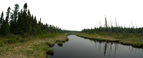 Panorama of a calm northern river surrounded by spruce and pine trees with a transparent sky
