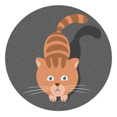 Cute striped ginger cat. Plain hungry look. A poor homeless animal. Caring for domestic pet. Cartoon vector round illustration top view
