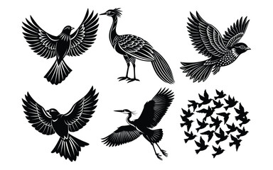 Obraz premium Black vector set of flying bird silhouettes with wings illustration.
