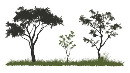 Serene Acacia Tree and Grass Silhouette Vector Illustration