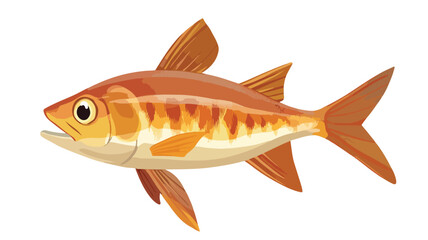 Fototapeta premium Atlantic Bonito Fish Vector Illustration for Designs and Projects