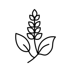 Salvia. Flower icon vector. Monochrome.