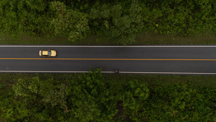 A road in a deep forest with a car running at high speed.