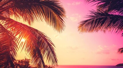 Sunset Palm Silhouette Tropical Beach Scene, Pink Sky, Frame Composition, Vacation, Summer palm trees, sunset