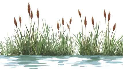Serene River Landscape with Bulrush Plants Vector Illustration