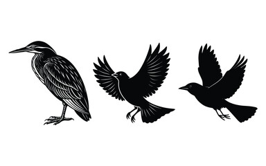 Black bird silhouette vector illustration of a flying animal wing.
