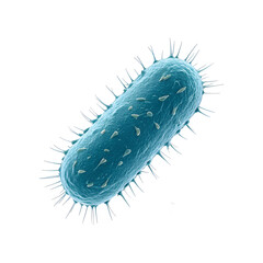 Bacteria illustration isolated on a transparent background
