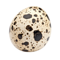 Single quail egg with speckled pattern, showcasing its unique texture and color, is beautifully displayed against transparency