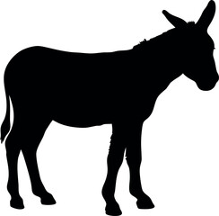 donkey silhouette isolated on white