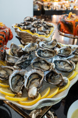 A seafood platter featuring oysters and mussels displayed on a buffet table in a restaurant. The elegant and fresh presentation highlights the luxurious and gourmet nature of the dish, ideal for fine 