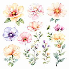 Set of watercolor flowers on white background, Set watercolor Flowers Clipart © Watercol