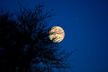 Full Moon, stars, planets and landscape scenery silhouettes.