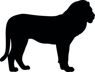 Lion  silhouette vector
