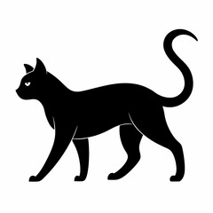 black cat silhouette