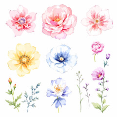 Set of watercolor flowers on white background, Set watercolor Flowers Clipart
